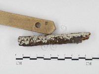 登錄號:F0005065藏品圖，第1張