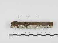登錄號:F0005065藏品圖，第3張