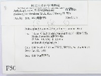 登錄號:F0005066藏品圖，第2張