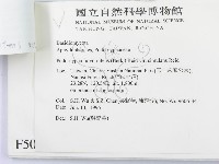 登錄號:F0005066藏品圖，第3張