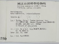 登錄號:F0005067藏品圖，第2張