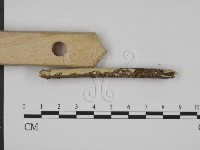 登錄號:F0005067藏品圖，第3張