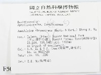 登錄號:F0005070藏品圖，第2張