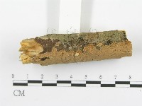 登錄號:F0005070藏品圖，第3張