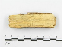 登錄號:F0005070藏品圖，第4張