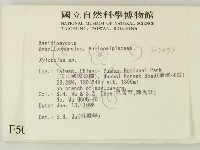 登錄號:F0005071藏品圖，第2張