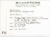 登錄號:F0005073藏品圖，第2張