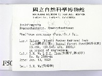 登錄號:F0005074藏品圖，第2張