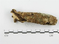 登錄號:F0005074藏品圖，第4張