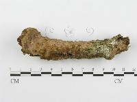 登錄號:F0005074藏品圖，第5張