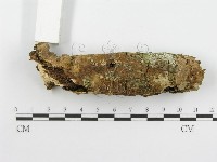 登錄號:F0005074藏品圖，第6張