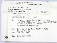 登錄號:F0005077藏品圖，第2張