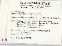 登錄號:F0005080藏品圖，第2張