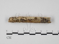 登錄號:F0005081藏品圖，第3張