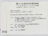 登錄號:F0005082藏品圖，第2張