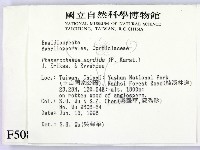 登錄號:F0005084藏品圖，第2張