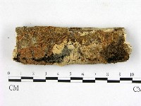 登錄號:F0005085藏品圖，第1張