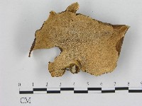 登錄號:F0005086藏品圖，第3張