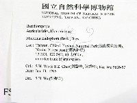 登錄號:F0005087藏品圖，第2張