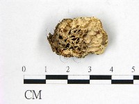 登錄號:F0005087藏品圖，第1張