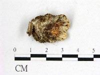 登錄號:F0005087藏品圖，第3張