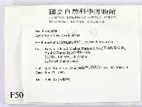 登錄號:F0005088藏品圖，第2張