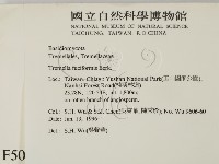 登錄號:F0005090藏品圖，第2張