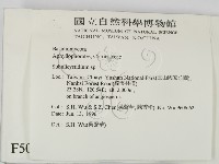 登錄號:F0005092藏品圖，第2張