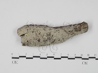 登錄號:F0005092藏品圖，第1張