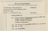 登錄號:F0005092藏品圖，第3張