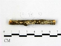 登錄號:F0005093藏品圖，第3張