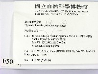 木層孔菌屬藏品圖，第2張