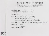 韌革菌屬藏品圖，第2張