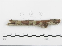 登錄號:F0005099藏品圖，第1張