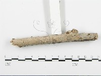 登錄號:F0005099藏品圖，第3張