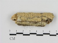 登錄號:F0005100藏品圖，第1張