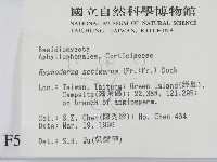 剛毛絲皮菌藏品圖，第2張