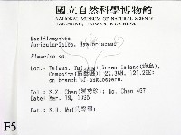 登錄號:F0005103藏品圖，第2張