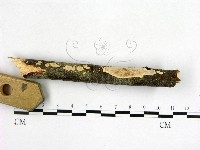 登錄號:F0005103藏品圖，第3張