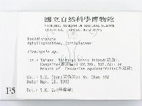 登錄號:F0005105藏品圖，第2張