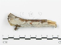 登錄號:F0005105藏品圖，第1張