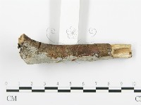 登錄號:F0005105藏品圖，第3張