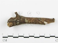 登錄號:F0005105藏品圖，第4張