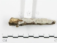 登錄號:F0005105藏品圖，第5張