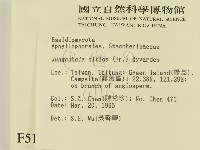 登錄號:F0005107藏品圖，第2張