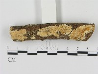 登錄號:F0005107藏品圖，第1張