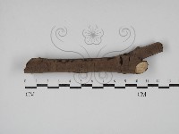 登錄號:F0005108藏品圖，第1張