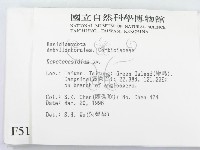 登錄號:F0005110藏品圖，第2張