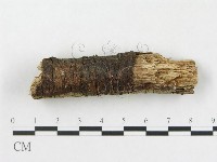 登錄號:F0005110藏品圖，第4張