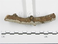 登錄號:F0005112藏品圖，第3張